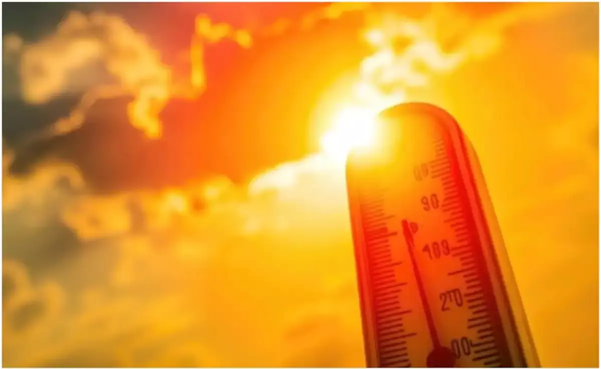 എന്നാ ചൂടാ;  സംസ്ഥാനത്ത് ഇന്നും അൾട്രാവയലറ്റ് ജാഗ്രത നിർദേശം