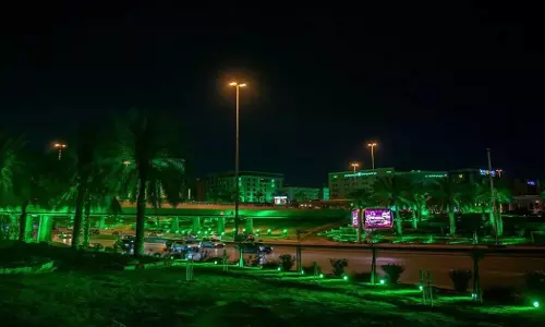 Saudi Green Initiative Day; Roads and buildings in Riyadh city greened