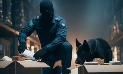 Saudi Customs seized 642 contraband items last week