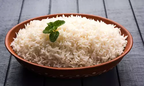 ഒരു രാഷ്ട്രത്തെ പോറ്റുന്ന മണ്ണ്: ഇന്ത്യയുടെ നെല്ലറ എന്നറിയപ്പെടുന്ന സംസ്ഥാനമിതാണ്