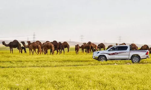 Revolutionary changes in the environmental and agricultural sectors in Saudi Arabia