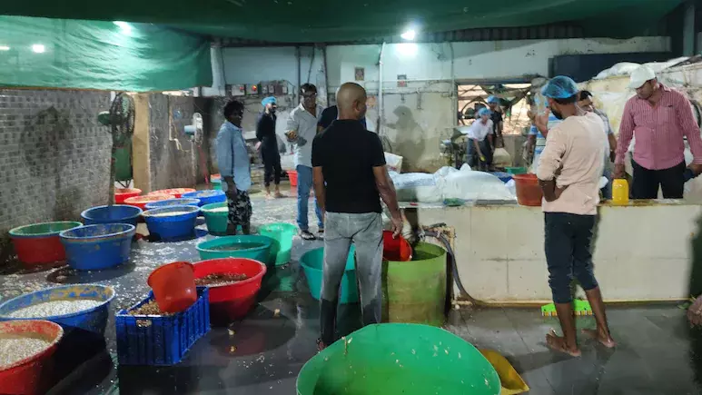 ഹൈദരാബാദിൽ 4,000 കിലോ വ്യാജ ഇഞ്ചി-വെളുത്തുള്ളി പേസ്റ്റ് പിടികൂടി; പിടിച്ചെടുത്തത് 22 ലക്ഷം രൂപയുടെ വസ്തുക്കൾ