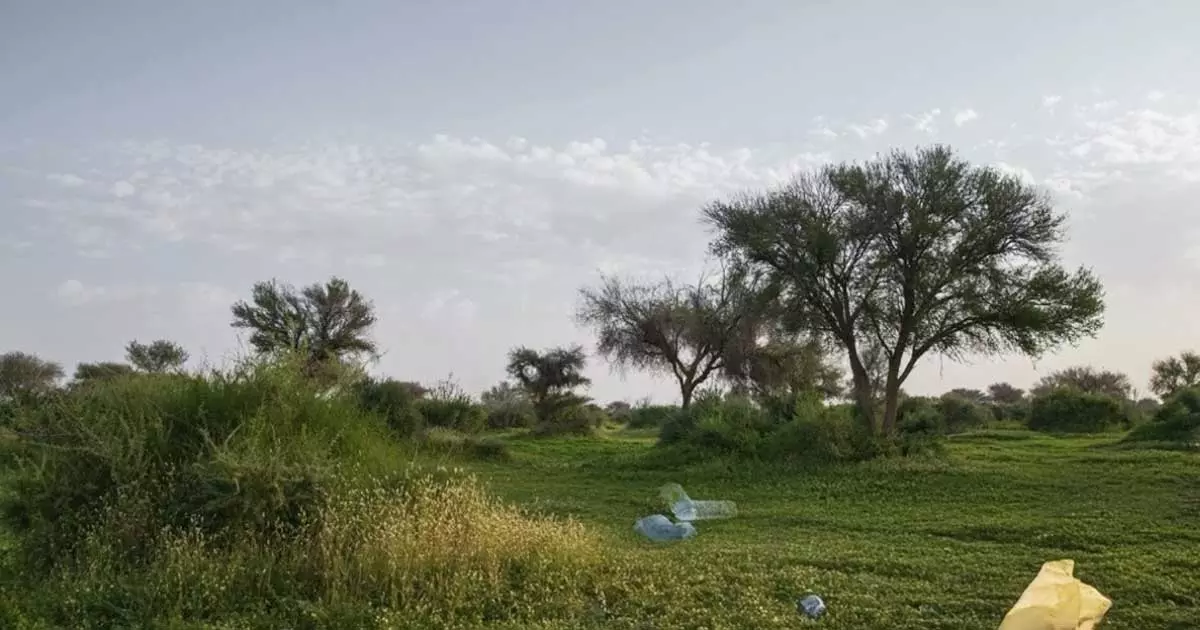 Strict action against those who litter in Royal Reserve areas