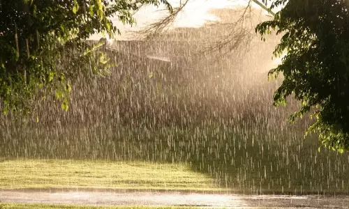 സംസ്ഥാനത്ത് വേനൽമഴ കനക്കുന്നു; ഇന്ന് പത്തനംതിട്ടയിലും ഇടുക്കിയിലും യെല്ലോ അലർട്ട്