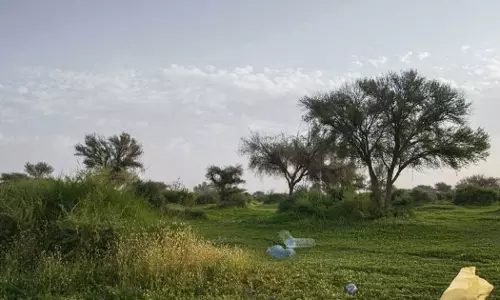 Strict action against those who litter in Royal Reserve areas