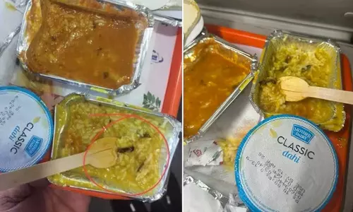 വന്ദേ ഭാരത് ട്രെയിനിലെ ഭക്ഷണത്തിൽ പാറ്റ; കരാറുകാരന് 10 ലക്ഷം രൂപ പിഴ ചുമത്തി റെയില്‍വെ