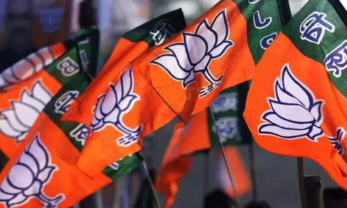 സാധ്യത ലിസ്റ്റിൽ പാലക്കാടും, വട്ടിയൂർക്കാവും ഇല്ല; പ്രതീക്ഷിച്ച സീറ്റുകൾ കിട്ടില്ലെന്ന് ബിജെപി