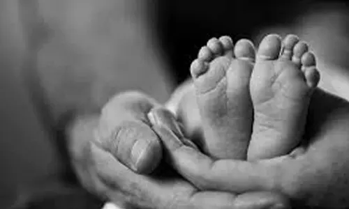 അട്ടപ്പാടിയിൽ വീണ്ടും ശിശുമരണം; 10 മാസം പ്രായമുള്ള പെൺകുഞ്ഞ് മരിച്ചു