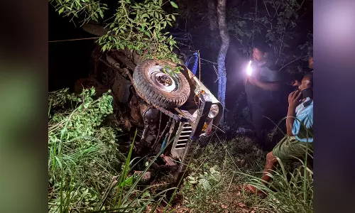ഇടുക്കിയിൽ ജീപ്പ് താഴ്ചയിലേക്ക് മറിഞ്ഞ് ആറുമാസം പ്രായമുള്ള കുഞ്ഞ് അടക്കം  രണ്ടു പേർ മരിച്ചു