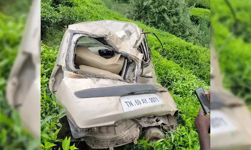 കാർ കൊക്കയിൽ വീണ് കോഴിക്കോട് സ്വദേശി ഉൾപ്പെടെ രണ്ടുപേർക്ക് പരിക്ക്