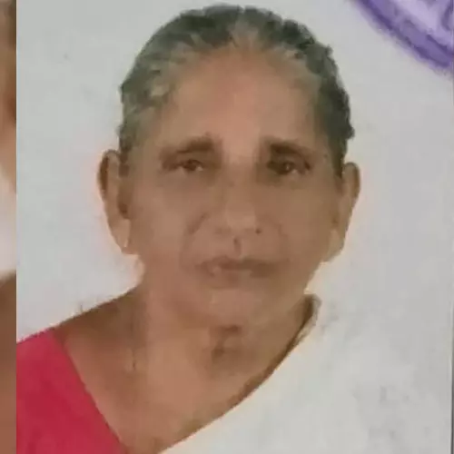ഇടുക്കിയിൽ പാമ്പുകടിയേറ്റ് വീട്ടമ്മ മരിച്ചു