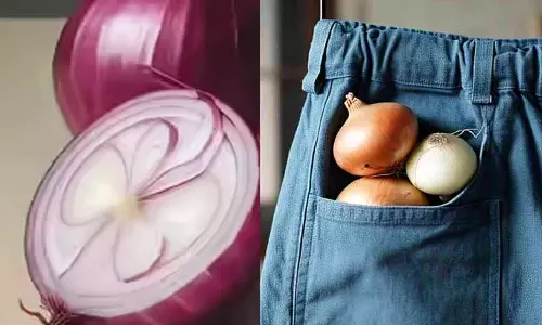 ഉഷ്ണതരംഗവും ഉള്ളിയും: കയ്യിൽ ഉള്ളി കരുതിയാൽ ചൂട് കുറയുമോ? ഡോക്ടർമാർ പറയുന്നത് ഇങ്ങനെ