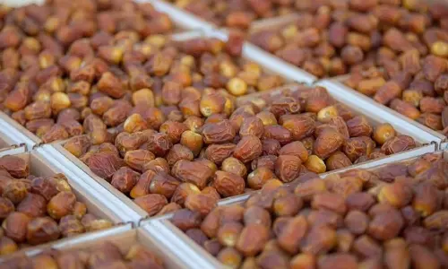 The value of the Kingdoms date exports to India increased by 25%