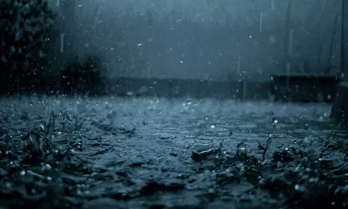 കോഴിക്കോട്ട് വീടിന് മുകളിലേക്ക് മരം കടപുഴകി വീണ് വീട് തകർന്നു; വീട്ടുകാർക്ക് പരിക്ക്