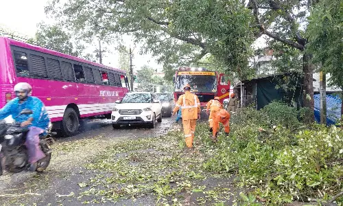 സംസ്ഥാനത്ത് വിവിധയിടങ്ങളിൽ ശക്തമായ കാറ്റിലും മഴയിലും വ്യാപക നാശനഷ്ടം