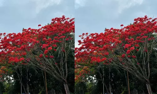 ഇതായിരുന്നു ആ അജണ്ട