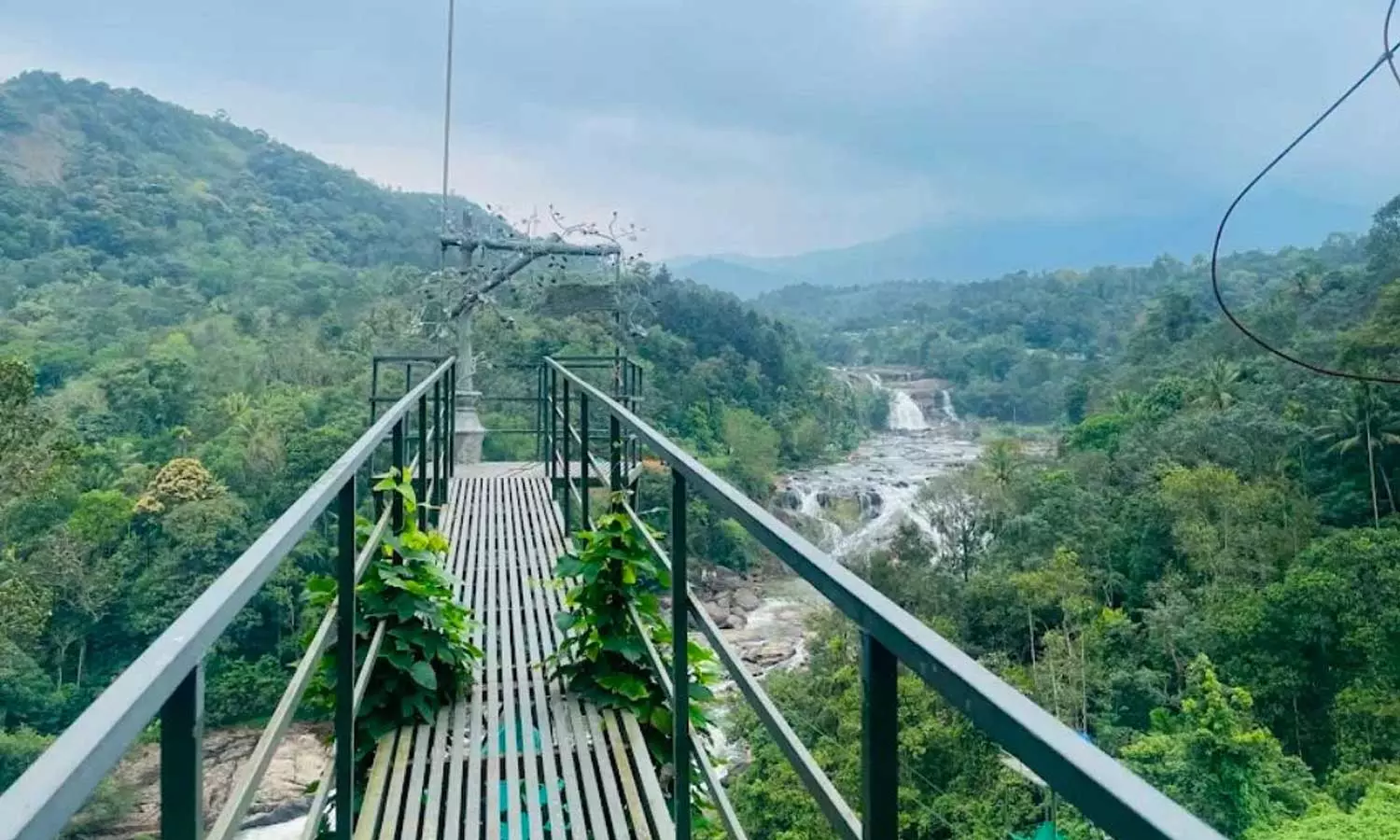 ഇരുമ്പ് വടത്തിന്റെ ഇടയിൽ കൈ കുരുങ്ങി സഞ്ചാരിയുടെ വിരലറ്റു; ഇടുക്കിയിൽ സാഹസിക വിനോദകേന്ദ്രത്തിൽ അപകടം ഇരുമ്പ് വടത്തിന്റെ ഇടയിൽ കൈ കുരുങ്ങി സഞ്ചാരിയുടെ വിരലറ്റു; ഇടുക്കിയിൽ സാഹസിക വിനോദകേന്ദ്രത്തിൽ അപകടം