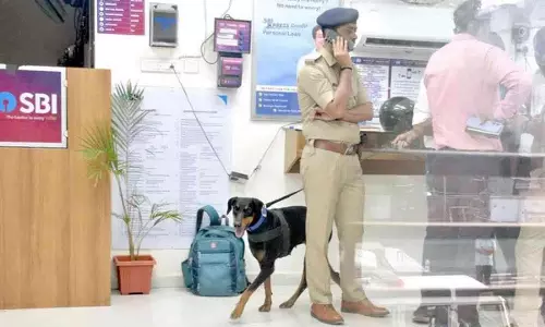 ജയിലിൽ ഇരുന്ന് ആസൂത്രണം; നടപ്പാക്കാൻ എന്തിനും ശേഷിയുള്ള സംഘം; അറിയാം ബാങ്ക് കവർച്ചകളിലെ സുപ്രധാന ലിങ്ക് ജയിലിൽ ഇരുന്ന് ആസൂത്രണം; നടപ്പാക്കാൻ എന്തിനും ശേഷിയുള്ള സംഘം; അറിയാം ബാങ്ക് കവർച്ചകളിലെ സുപ്രധാന ലിങ്ക്