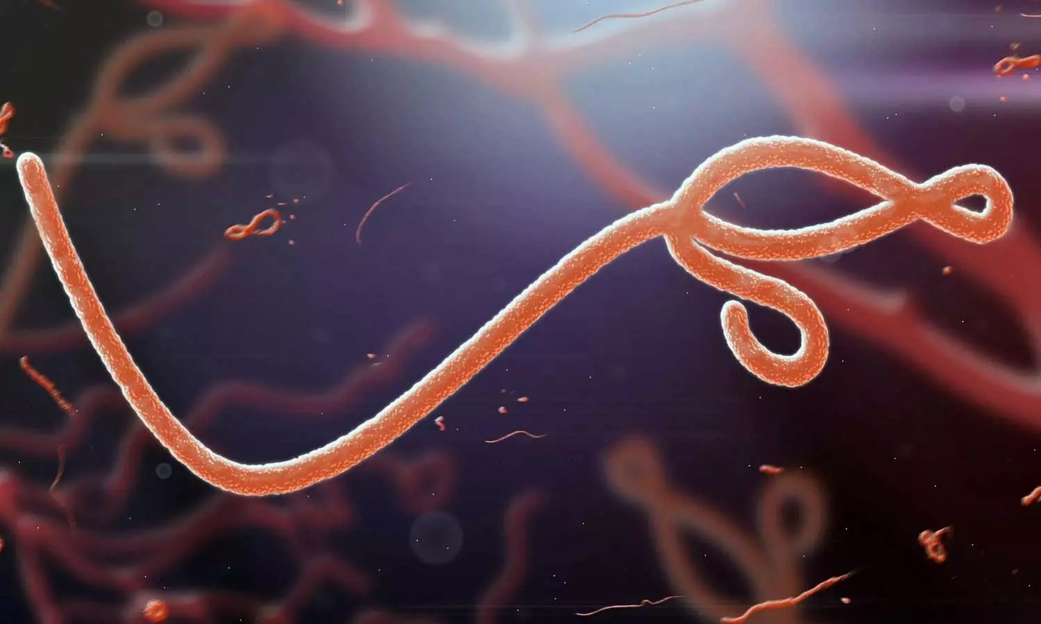 Oman issues Ebola travel advisory for passengers, airlines Oman issues Ebola travel advisory for passengers, airlines