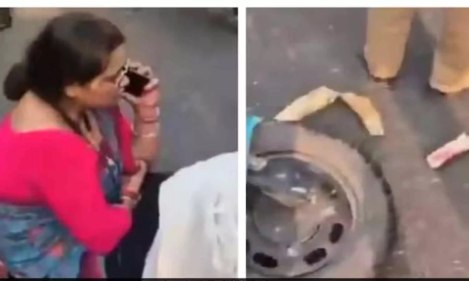 കണ്ടവരെല്ലാം പറഞ്ഞു അമ്പോ !; സ്കൂട്ടറിൽ ഇടിച്ച് കാട്ടാനയുടെ കൊമ്പ് മൂന്ന് കഷ്ണമായി തകർന്നു കണ്ടവരെല്ലാം പറഞ്ഞു അമ്പോ !; സ്കൂട്ടറിൽ ഇടിച്ച് കാട്ടാനയുടെ കൊമ്പ് മൂന്ന് കഷ്ണമായി തകർന്നു