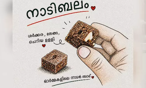 ചന്തകളിൽ നിന്ന് ഇൻസ്റ്റാഗ്രാം റീൽസിലേക്ക്; നാടിബലം എന്ന നാടൻ സ്റ്റാർട്ടപ്പ് കഥ