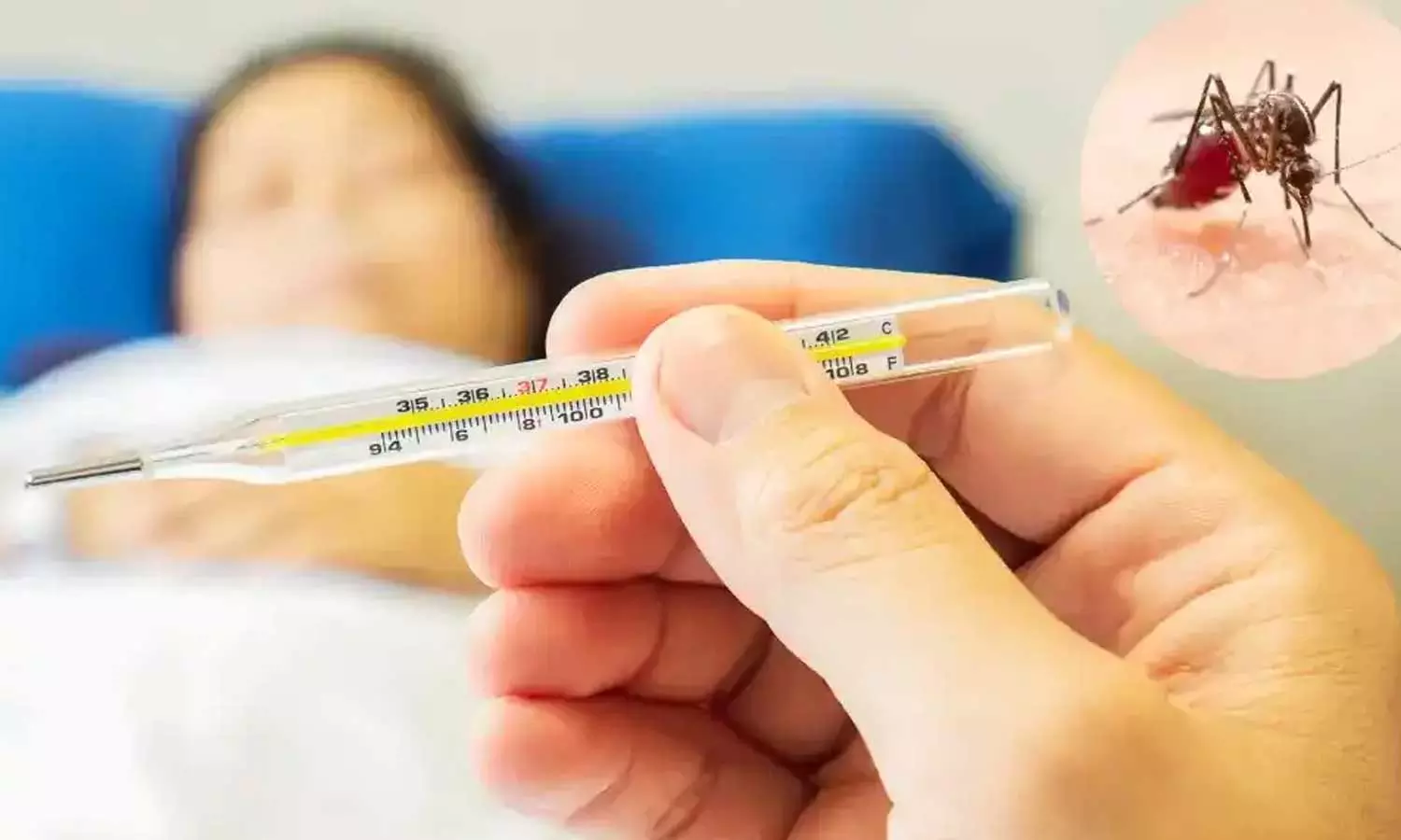 പനിച്ചുവിറച്ച് കേരളം; സംസ്ഥാനത്ത് ഡെങ്കിപ്പനി വ്യാപിക്കുന്നു പനിച്ചുവിറച്ച് കേരളം; സംസ്ഥാനത്ത് ഡെങ്കിപ്പനി വ്യാപിക്കുന്നു