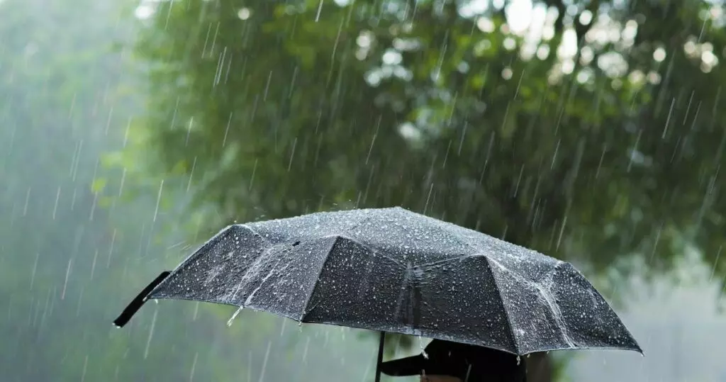 മഴ കനക്കുന്നു; സംസ്ഥാനത്ത് നാളെ അഞ്ചു ജില്ലകളിൽ റെഡ് അലർട്ട് മഴ കനക്കുന്നു; സംസ്ഥാനത്ത് നാളെ അഞ്ചു ജില്ലകളിൽ റെഡ് അലർട്ട്