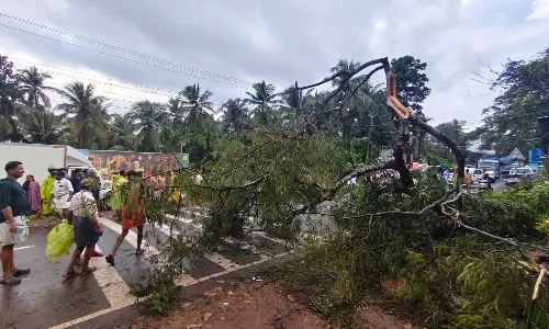 കോഴിക്കോട്ട് കാറ്റിൽ മരം പൊട്ടിവീണ് സ്കൂട്ടർ യാത്രക്കാരന് ദാരുണാന്ത്യം കോഴിക്കോട്ട് കാറ്റിൽ മരം പൊട്ടിവീണ് സ്കൂട്ടർ യാത്രക്കാരന് ദാരുണാന്ത്യം