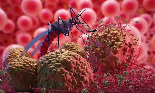 malaria reported in kozhikode malaria reported in kozhikode
