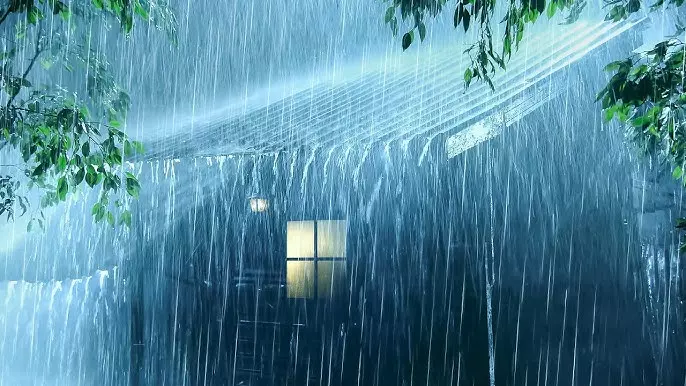 മഴ തുടരുന്നു; ഇടുക്കി, പത്തനംതിട്ട ജില്ലകളിൽ യെല്ലോ അലര്ട്ട് മഴ തുടരുന്നു; ഇടുക്കി, പത്തനംതിട്ട ജില്ലകളിൽ യെല്ലോ അലര്ട്ട്