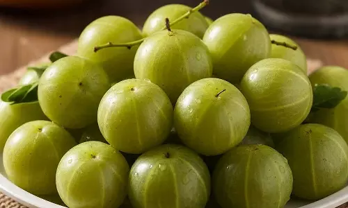 നെല്ലിക്ക എല്ലാവർക്കുമല്ല! ഈ ആരോഗ്യപ്രശ്നങ്ങൾ ഉള്ളവർ കഴിക്കുന്നതിന് മുമ്പ് രണ്ടുവട്ടം ചിന്തിക്കണം നെല്ലിക്ക എല്ലാവർക്കുമല്ല! ഈ ആരോഗ്യപ്രശ്നങ്ങൾ ഉള്ളവർ കഴിക്കുന്നതിന് മുമ്പ് രണ്ടുവട്ടം ചിന്തിക്കണം