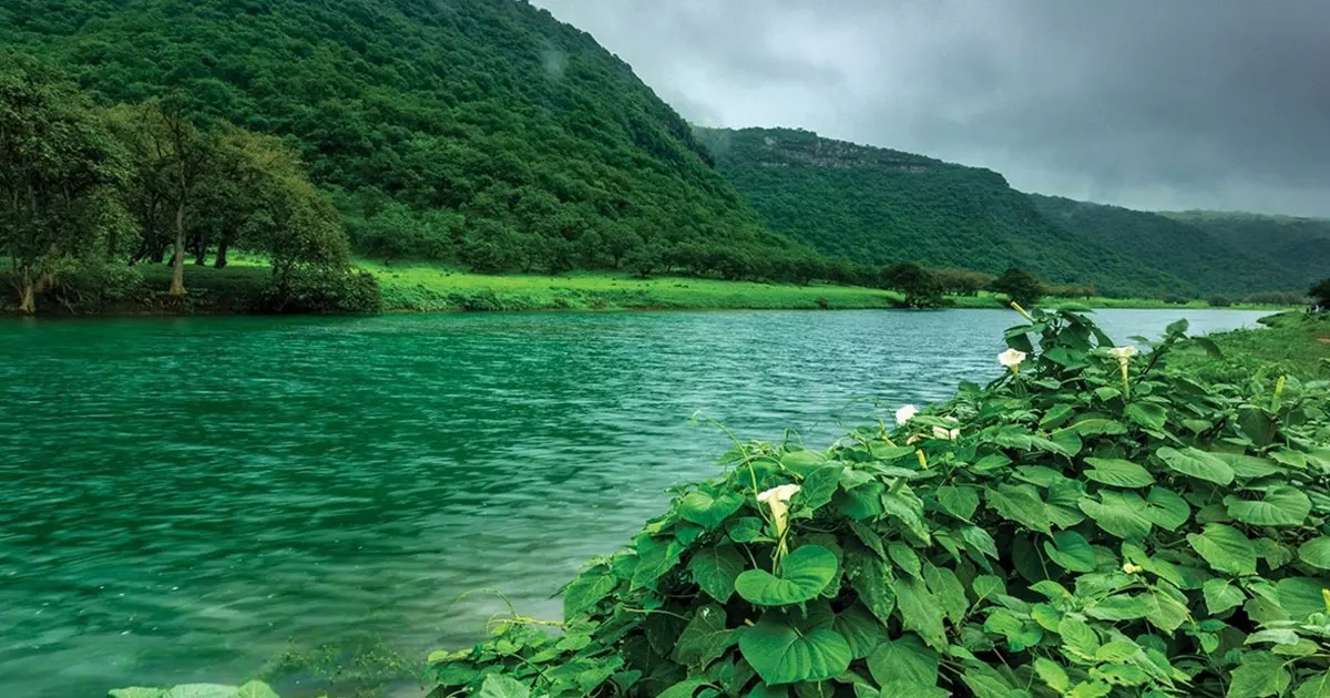 Oman climbs six places in the 2026 Environmental Performance Index. Oman climbs six places in the 2026 Environmental Performance Index.