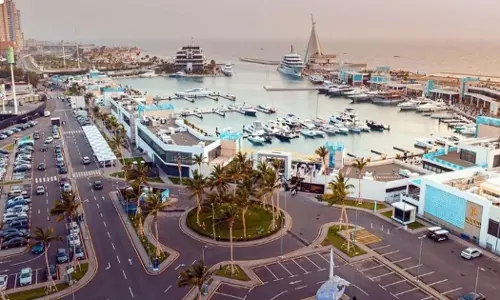Six countries, including India, are eligible for Saudis new visa package