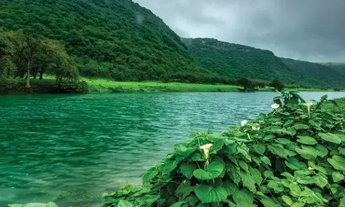 Oman climbs six places in the 2026 Environmental Performance Index.