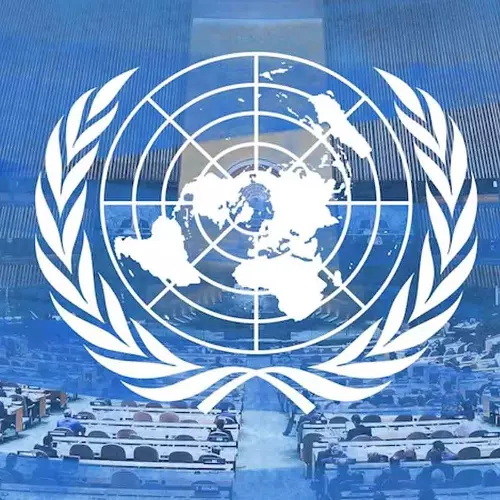 SIR Denies Minority Rights: UN Writes to India