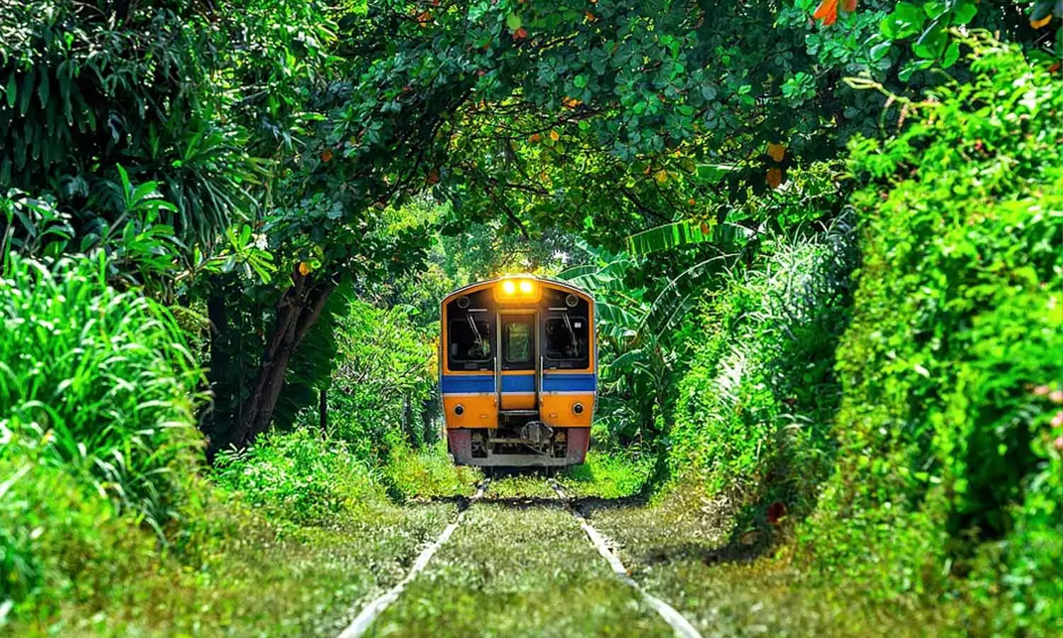 കയ്യെത്തും ദൂരത്തായി കാട്ടാനകളും മാനുകളും; യാത്രാപ്രേമികള് ഒരിക്കലെങ്കിലും കയറണം ഈ ജംഗിള് സഫാരിയില്: സമയം, ടിക്കറ്റ്, ബുക്കിങ് വിവരങ്ങളറിയാം... കയ്യെത്തും ദൂരത്തായി കാട്ടാനകളും മാനുകളും; യാത്രാപ്രേമികള് ഒരിക്കലെങ്കിലും കയറണം ഈ ജംഗിള് സഫാരിയില്: സമയം, ടിക്കറ്റ്, ബുക്കിങ് വിവരങ്ങളറിയാം...