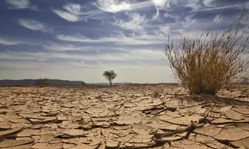 The Meteorological Authority: El Niño indicators are heading towards a strong phase. The Meteorological Authority: El Niño indicators are heading towards a strong phase.