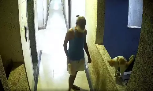 പൂച്ചയെ കെട്ടിടത്തിന്റെ മുകളില് നിന്ന് തള്ളിയിട്ട് കൊന്നു, 60കാരനെതിരെ പ്രതിഷേധിച്ച് ഫ്ലാറ്റിലെ താമസക്കാര്, പൊലീസ് കേസെടുത്തു പൂച്ചയെ കെട്ടിടത്തിന്റെ മുകളില് നിന്ന് തള്ളിയിട്ട് കൊന്നു, 60കാരനെതിരെ പ്രതിഷേധിച്ച് ഫ്ലാറ്റിലെ താമസക്കാര്, പൊലീസ് കേസെടുത്തു