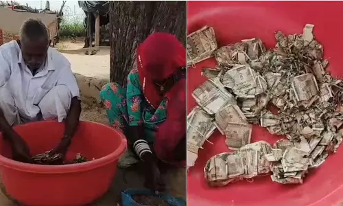 കള്ളന്മാരെ പേടിച്ച് അഞ്ച് ലക്ഷം കുഴിച്ചിട്ട സ്ഥലം മറന്നു; കൃഷിയിടം ഉഴുതുമറിച്ച് നോക്കിയതോടെ അമ്പരന്ന് കർഷകൻ, റിപ്പോർട്ട്... കള്ളന്മാരെ പേടിച്ച് അഞ്ച് ലക്ഷം കുഴിച്ചിട്ട സ്ഥലം മറന്നു; കൃഷിയിടം ഉഴുതുമറിച്ച് നോക്കിയതോടെ അമ്പരന്ന് കർഷകൻ, റിപ്പോർട്ട്...