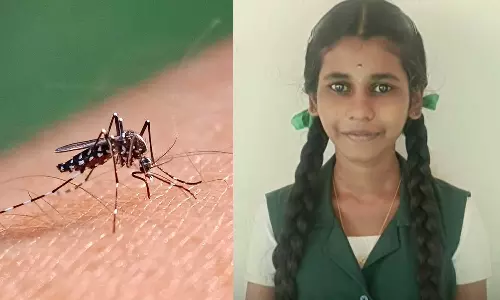 പാലക്കാട് ഡെങ്കിപ്പനി ബാധിച്ച് വിദ്യാര്ഥി മരിച്ചു പാലക്കാട് ഡെങ്കിപ്പനി ബാധിച്ച് വിദ്യാര്ഥി മരിച്ചു