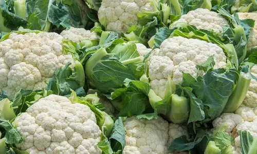 How to Grow Cauliflower How to Grow Cauliflower