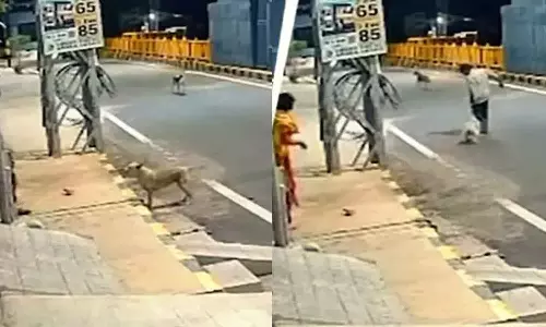 മാനസിക വെല്ലുവിളി നേരിടുന്ന സ്ത്രീയെ പീഡിപ്പിക്കാൻ ശ്രമം; രക്ഷകരായി തെരുവുനായ്ക്കൾ, 17-കാരൻ പിടിയിൽ മാനസിക വെല്ലുവിളി നേരിടുന്ന സ്ത്രീയെ പീഡിപ്പിക്കാൻ ശ്രമം; രക്ഷകരായി തെരുവുനായ്ക്കൾ, 17-കാരൻ പിടിയിൽ