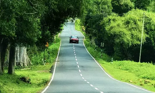 high court permitted vehicles to travel from Masinagudi to Ooty