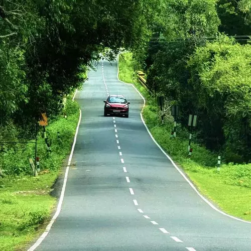 high court permitted vehicles to travel from Masinagudi to Ooty