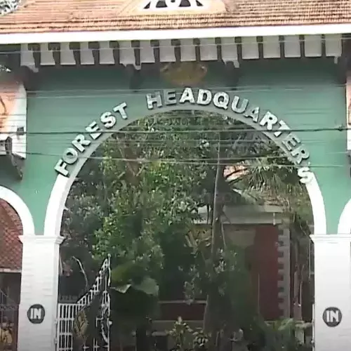 മനുഷ്യ വന്യജീവി സംഘർഷം: നഷ്ടപരിഹാരം നിർണയിക്കാൻ അഞ്ചംഗ വിദഗ്ധ സമിതി