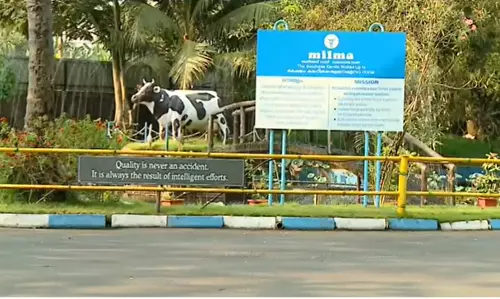 മലബാർ മിൽമയിലെ സാമ്പത്തിക ക്രമക്കേട്; ഉന്നതതല അന്വേഷണം പ്രഖ്യാപിക്കും മലബാർ മിൽമയിലെ സാമ്പത്തിക ക്രമക്കേട്; ഉന്നതതല അന്വേഷണം പ്രഖ്യാപിക്കും