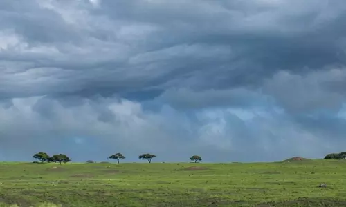 Oman Meteorology data shows changes in Dhofar Khareef rainfall and vegetation in 2026 Oman Meteorology data shows changes in Dhofar Khareef rainfall and vegetation in 2026