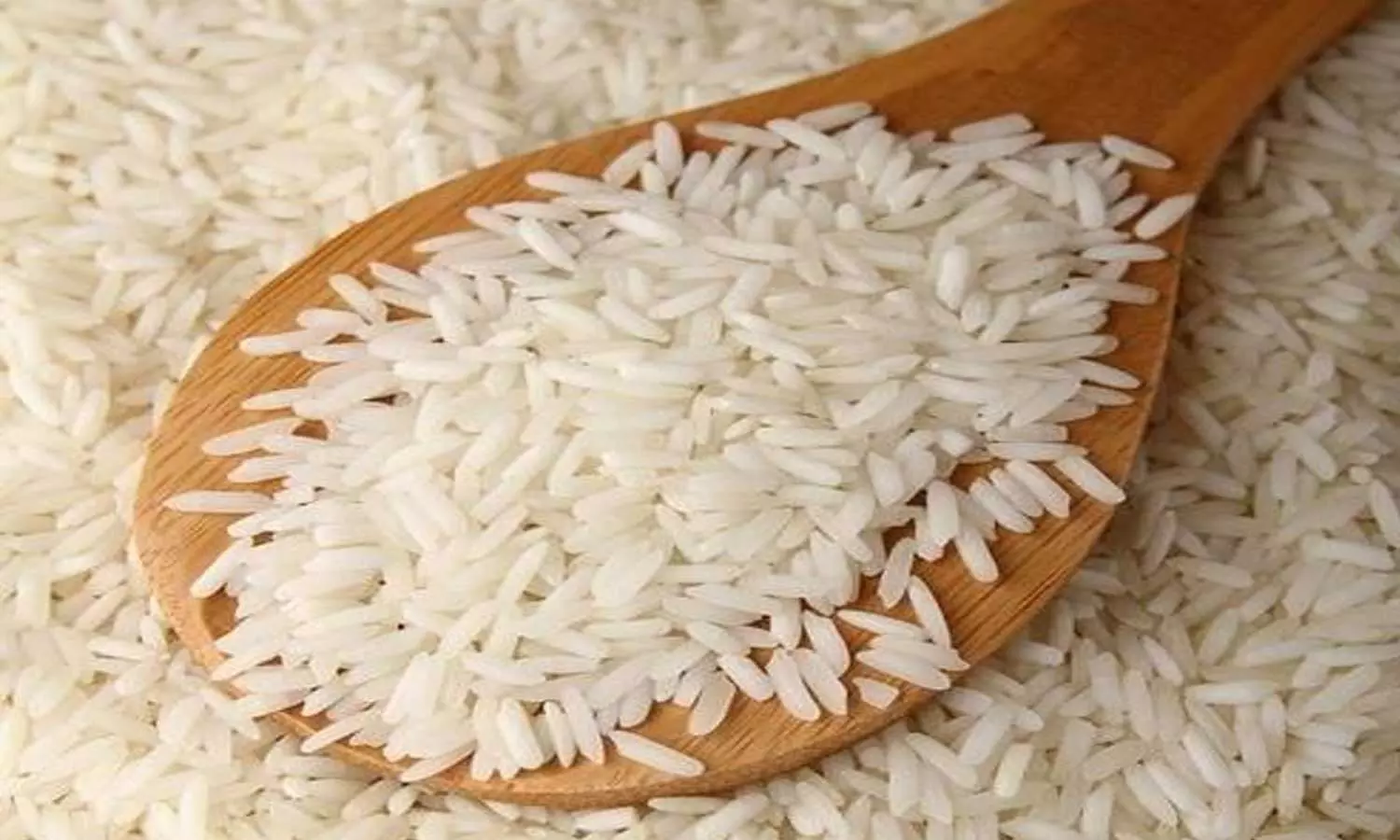 Decline in Indian rice imports to Saudi Arabia; a drop of 100,000 tonnes compared to the previous season. Decline in Indian rice imports to Saudi Arabia; a drop of 100,000 tonnes compared to the previous season.