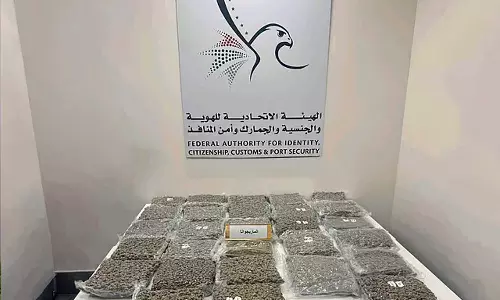 UAE foils 14 attempts to smuggle more than 300kg of drugs in two months