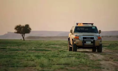 73 wild animals hunted in King Salman Nature Reserve; 4 arrested in Saudi Arabia.